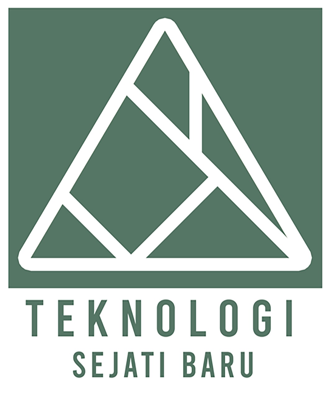 PT. Teknologi Sejati Baru